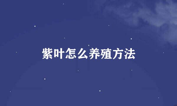 紫叶怎么养殖方法