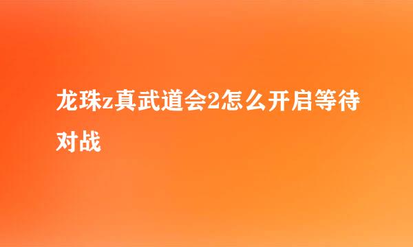 龙珠z真武道会2怎么开启等待对战