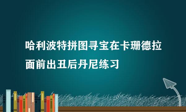 哈利波特拼图寻宝在卡珊德拉面前出丑后丹尼练习