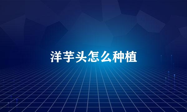 洋芋头怎么种植