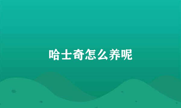 哈士奇怎么养呢