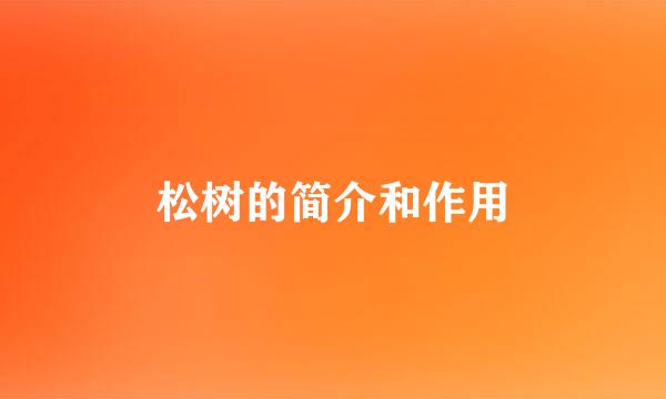 松树的简介和作用