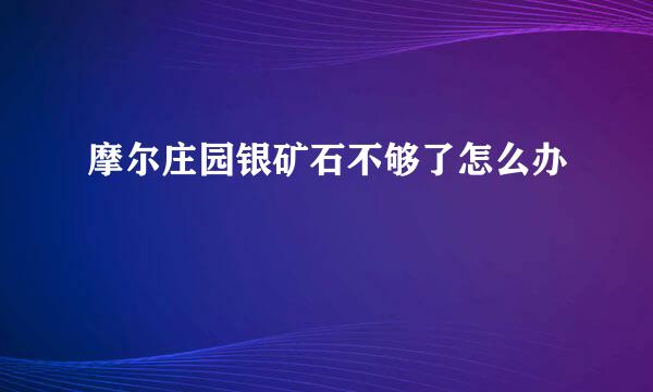 摩尔庄园银矿石不够了怎么办