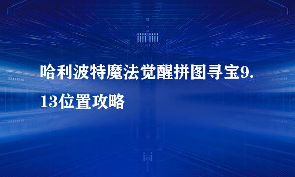 哈利波特魔法觉醒拼图寻宝9.13位置攻略