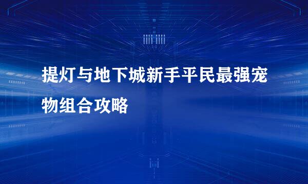 提灯与地下城新手平民最强宠物组合攻略