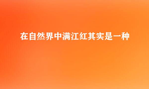 在自然界中满江红其实是一种