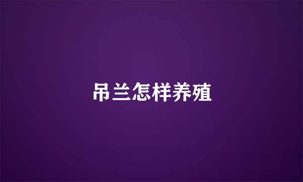 吊兰怎样养殖