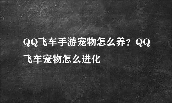 QQ飞车手游宠物怎么养？QQ飞车宠物怎么进化