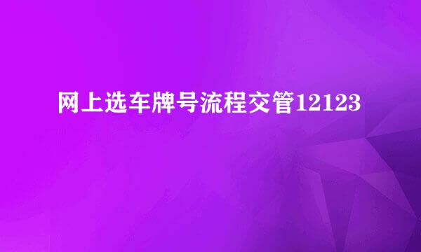 网上选车牌号流程交管12123