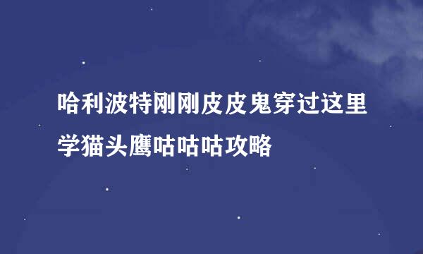 哈利波特刚刚皮皮鬼穿过这里学猫头鹰咕咕咕攻略