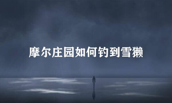 摩尔庄园如何钓到雪獭