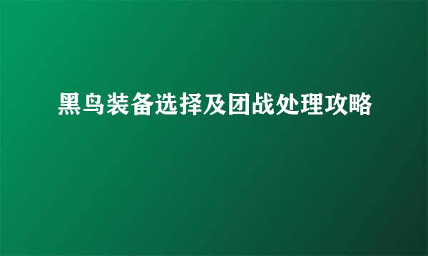 黑鸟装备选择及团战处理攻略