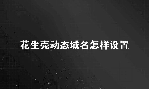 花生壳动态域名怎样设置