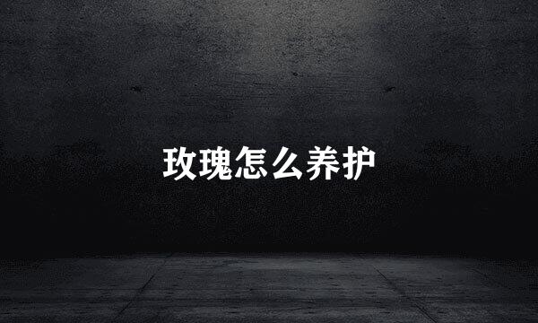 玫瑰怎么养护