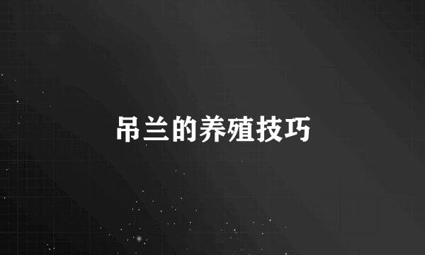 吊兰的养殖技巧