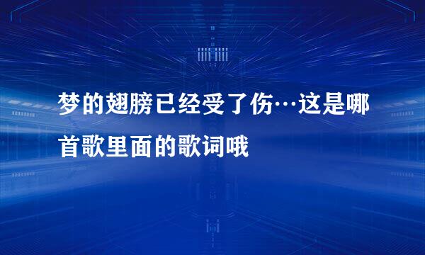 梦的翅膀已经受了伤…这是哪首歌里面的歌词哦