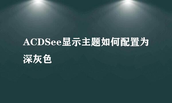 ACDSee显示主题如何配置为深灰色
