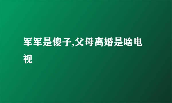 军军是傻子,父母离婚是啥电视