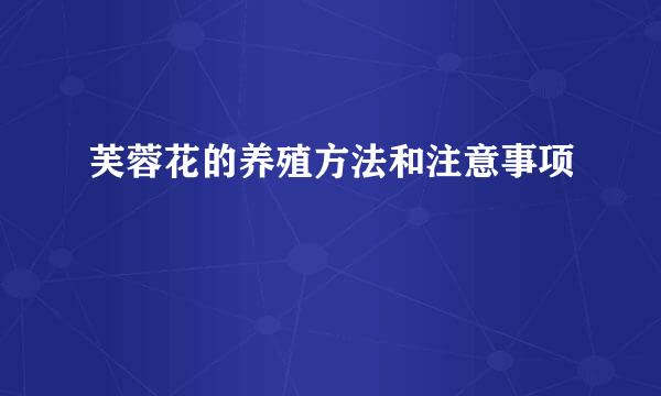 芙蓉花的养殖方法和注意事项