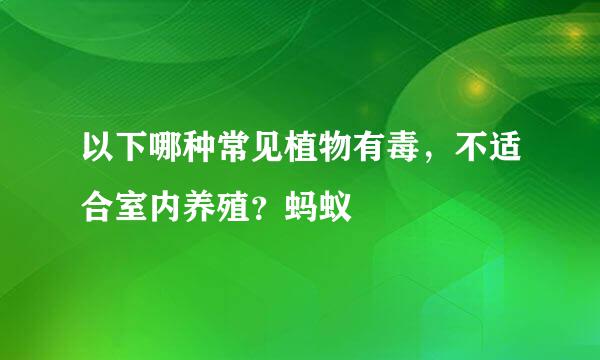 以下哪种常见植物有毒，不适合室内养殖？蚂蚁