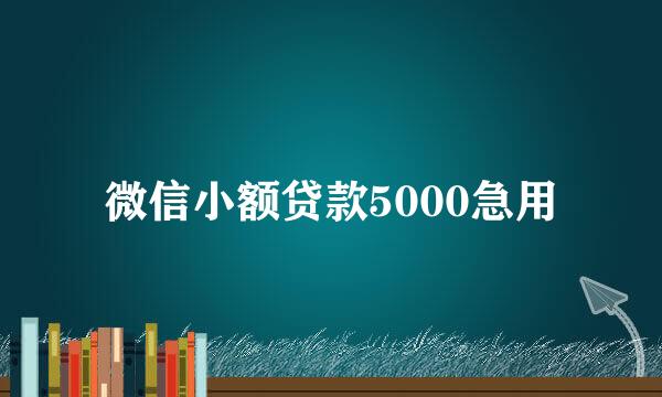 微信小额贷款5000急用