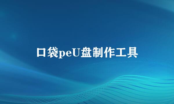 口袋peU盘制作工具