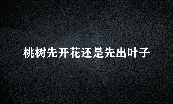 桃树先开花还是先出叶子