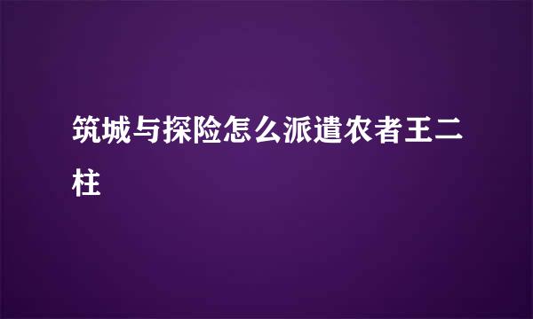 筑城与探险怎么派遣农者王二柱