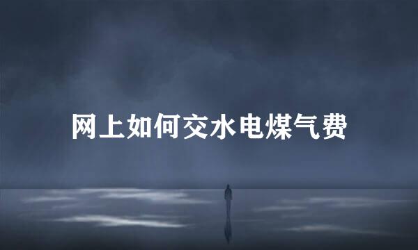 网上如何交水电煤气费