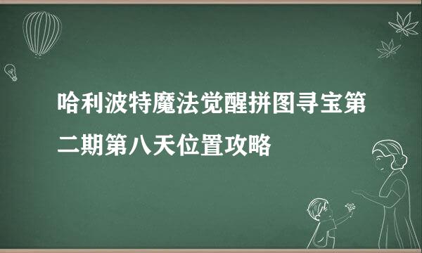 哈利波特魔法觉醒拼图寻宝第二期第八天位置攻略