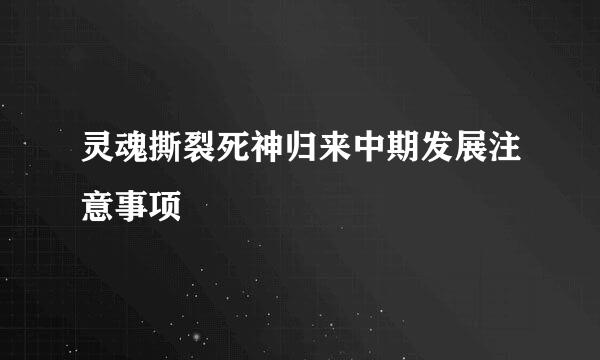 灵魂撕裂死神归来中期发展注意事项