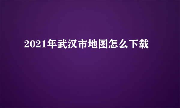 2021年武汉市地图怎么下载