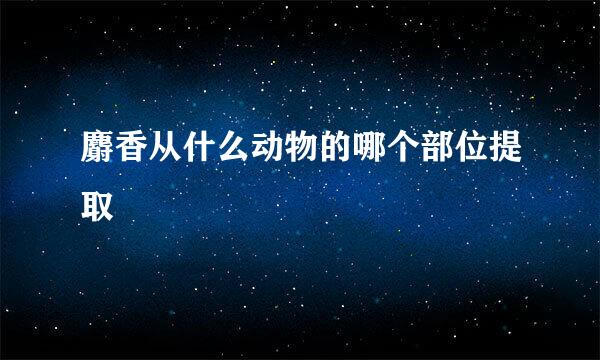 麝香从什么动物的哪个部位提取