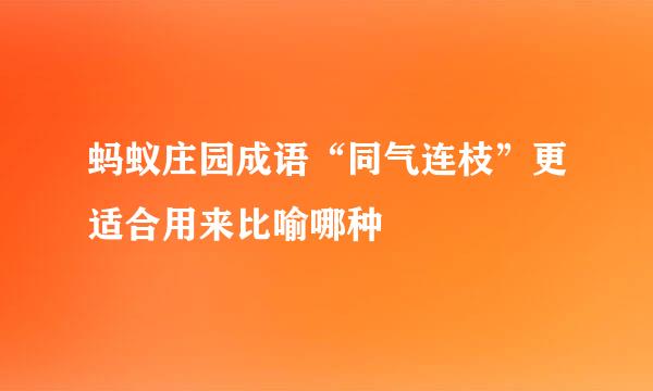 蚂蚁庄园成语“同气连枝”更适合用来比喻哪种