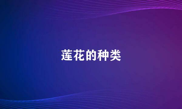 莲花的种类