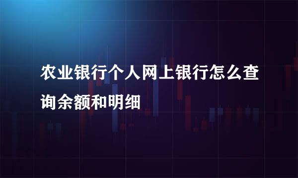 农业银行个人网上银行怎么查询余额和明细