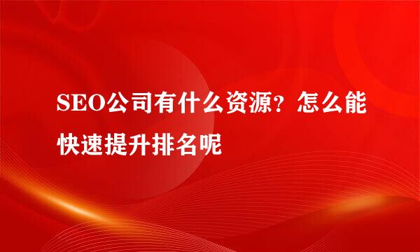 SEO公司有什么资源？怎么能快速提升排名呢