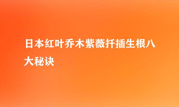 日本红叶乔木紫薇扦插生根八大秘诀