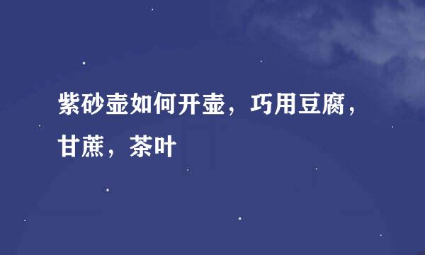 紫砂壶如何开壶，巧用豆腐，甘蔗，茶叶