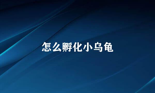 怎么孵化小乌龟