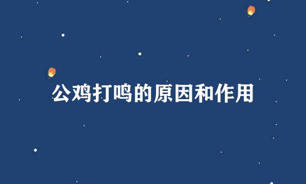 公鸡打鸣的原因和作用