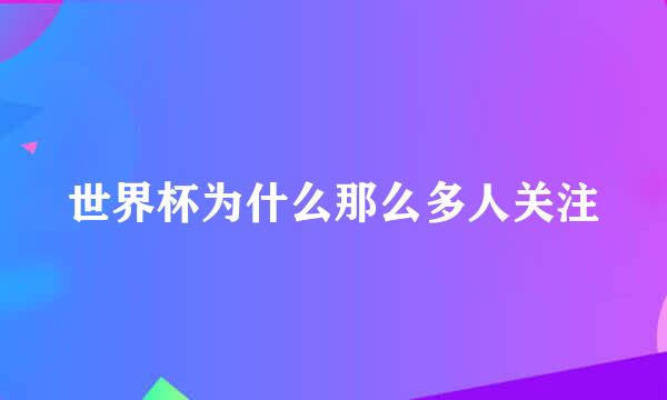 世界杯为什么那么多人关注