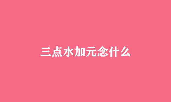 三点水加元念什么