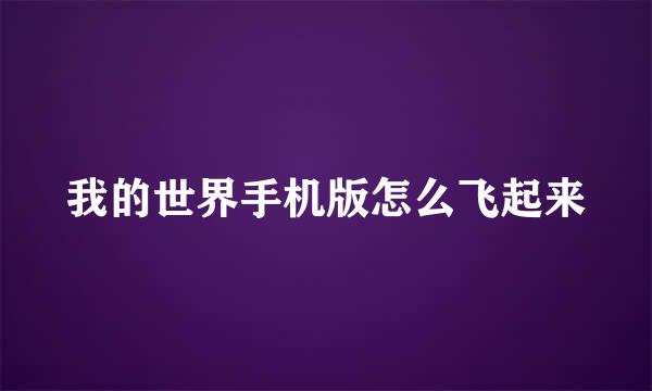 我的世界手机版怎么飞起来
