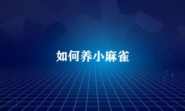 如何养小麻雀