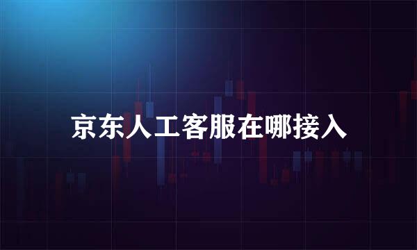 京东人工客服在哪接入