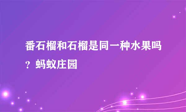 番石榴和石榴是同一种水果吗？蚂蚁庄园