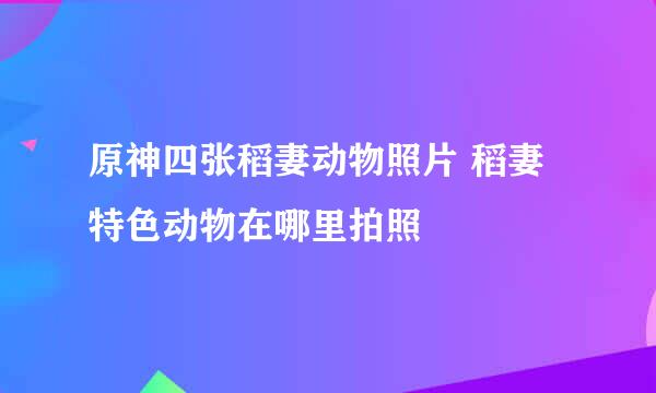 原神四张稻妻动物照片 稻妻特色动物在哪里拍照
