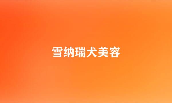 雪纳瑞犬美容