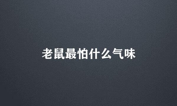 老鼠最怕什么气味